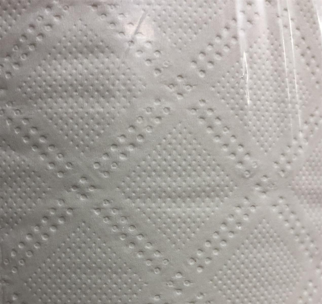 Handtuchrolle Midi Premium 2-lagig 450 Blatt à 22x19 cm